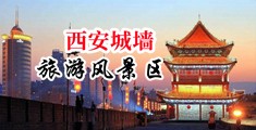 淫穴狂插中国陕西-西安城墙旅游风景区